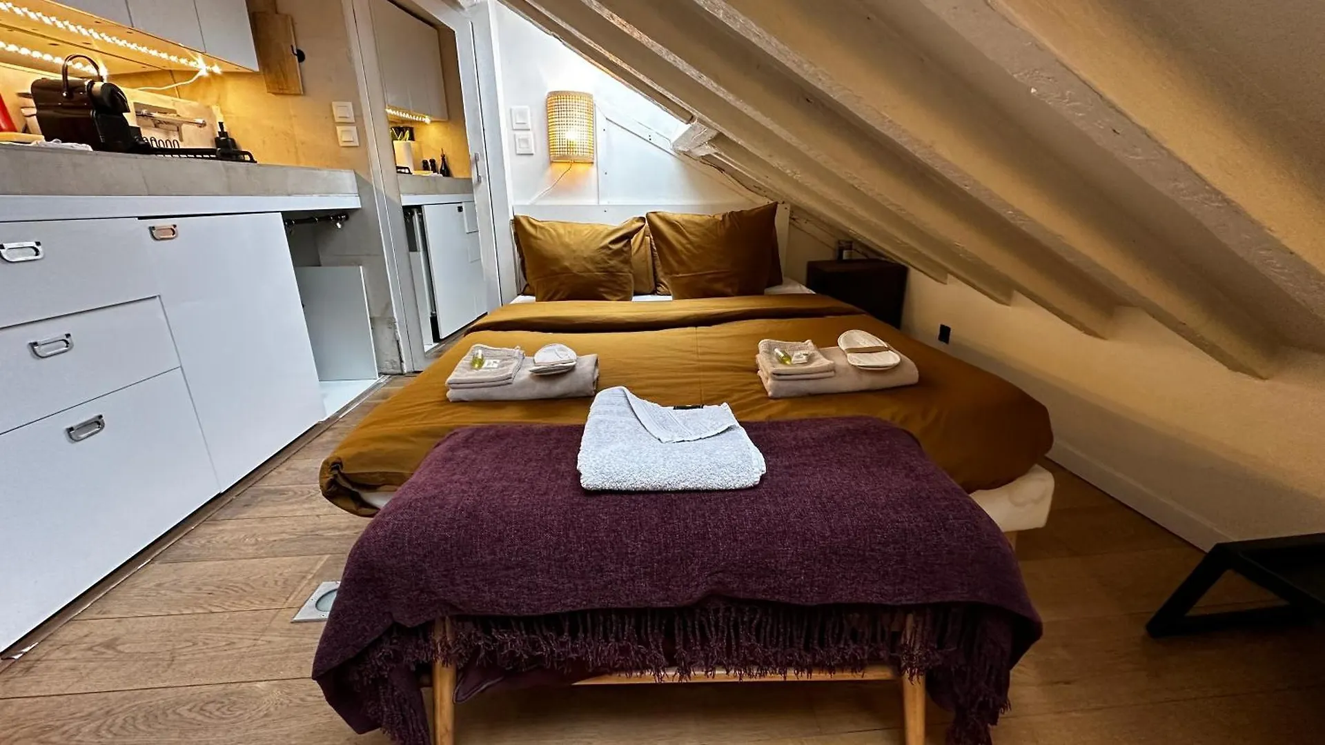 Appartamento Marais Rooftop Studio - Metro Filles Du Calvaire Parigi